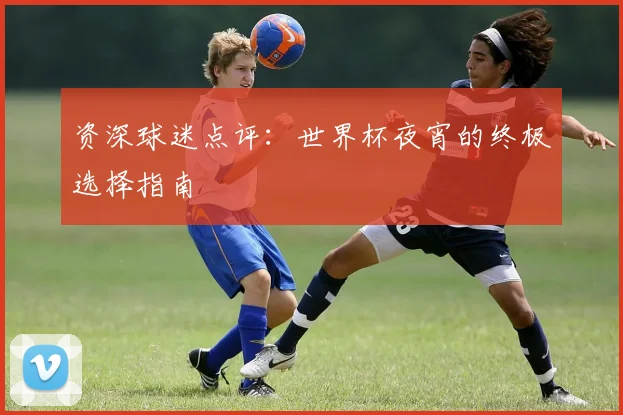 资深球迷点评：世界杯夜宵的终极选择指南