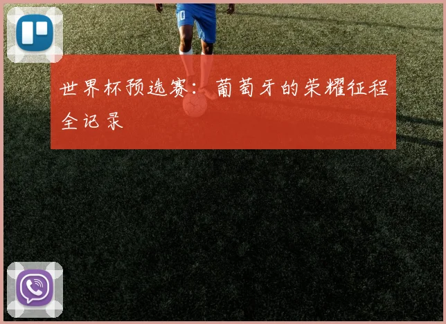 世界杯预选赛：葡萄牙的荣耀征程全记录