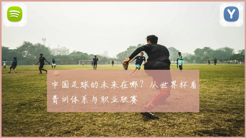 中国足球的未来在哪？从世界杯看青训体系与职业联赛
