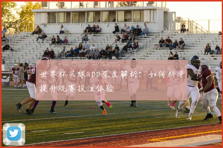 世界杯买球app深度解析：如何科学提升观赛投注体验