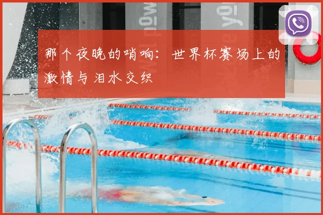 那个夜晚的哨响：世界杯赛场上的激情与泪水交织