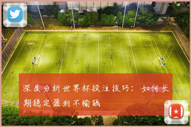 深度分析世界杯投注技巧:如何长期稳定盈利不输钱