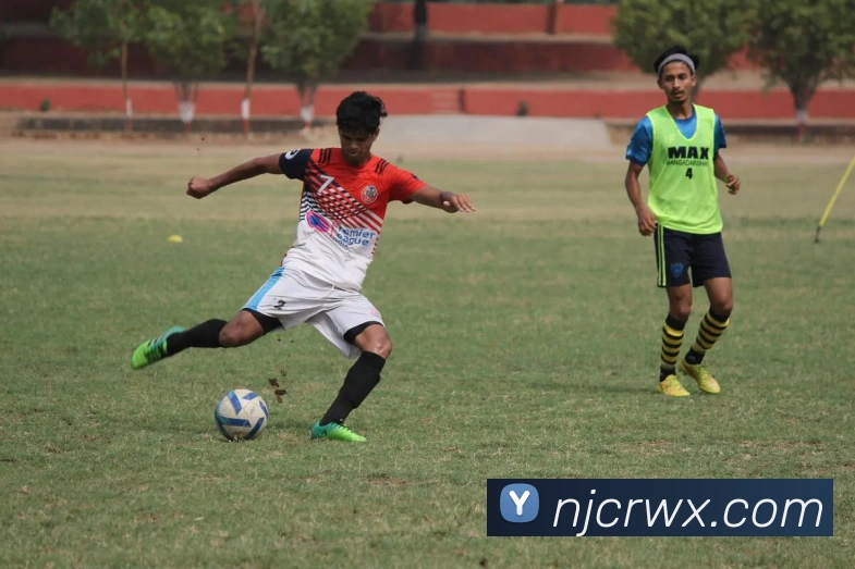 欧宝官方首页官网平台生态图